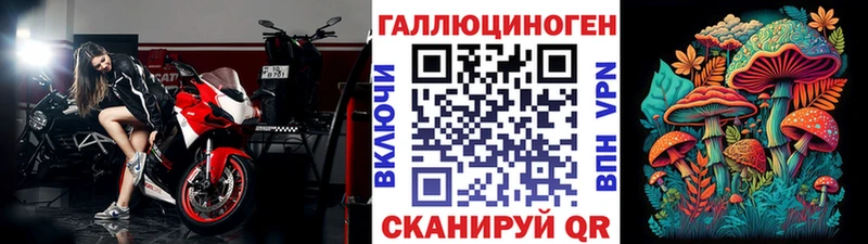 Псилоцибиновые грибы Psilocybe  Купить закладки  Шилка 